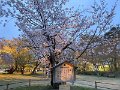 20230425_094608756_iOS
