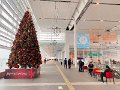 20231215_042223862_iOS