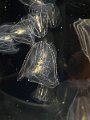 20240525_081758189_iOS